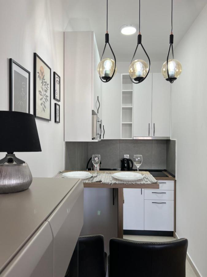 Apartment Charlie Private Parking โนวีซาด ภายนอก รูปภาพ