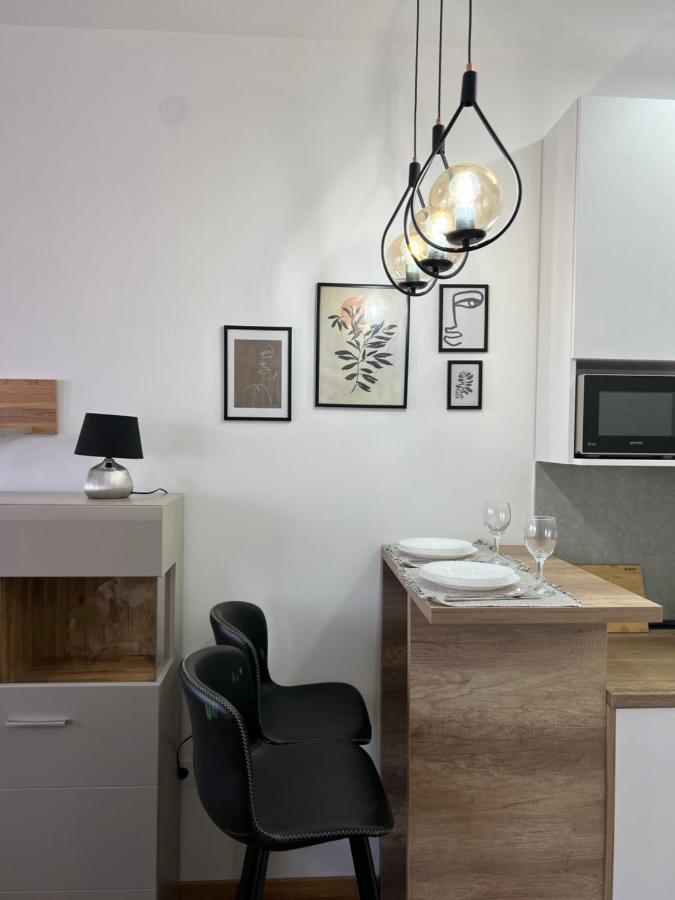 Apartment Charlie Private Parking โนวีซาด ภายนอก รูปภาพ