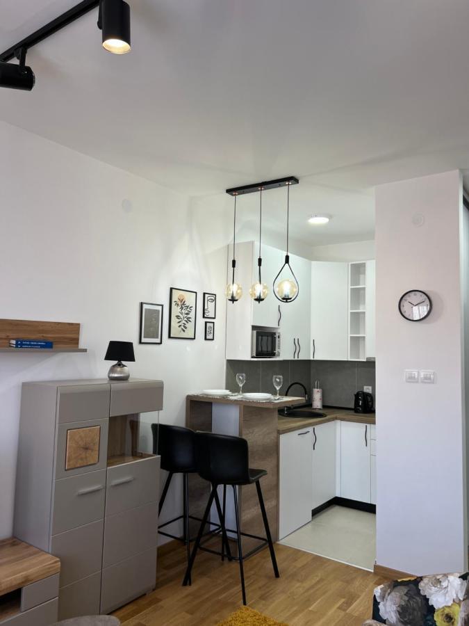 Apartment Charlie Private Parking โนวีซาด ภายนอก รูปภาพ