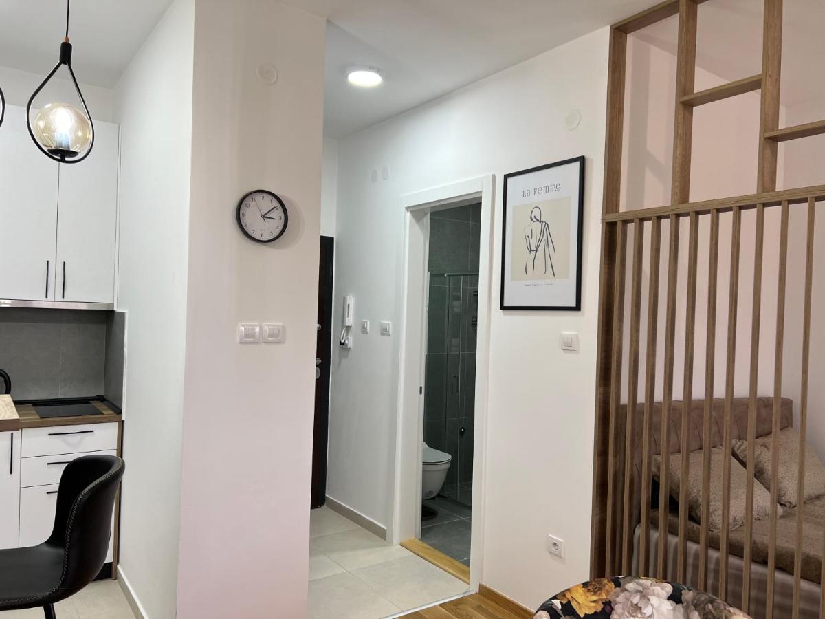 Apartment Charlie Private Parking โนวีซาด ภายนอก รูปภาพ