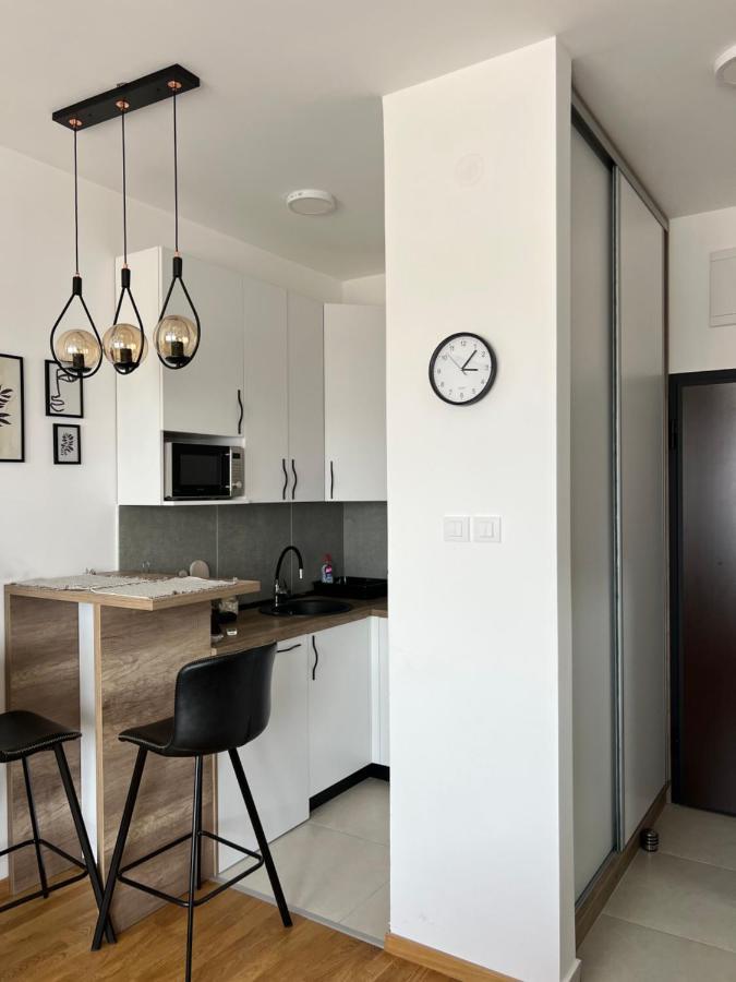 Apartment Charlie Private Parking โนวีซาด ภายนอก รูปภาพ